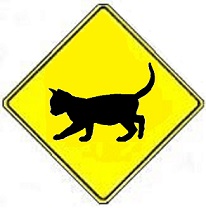 cat crossing