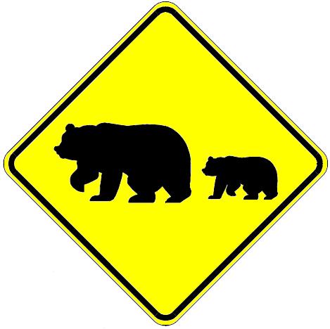 Migrating Bears