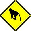 Monkey Crossing