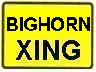 BIGHORN XING