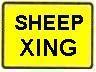 SHEEP XING